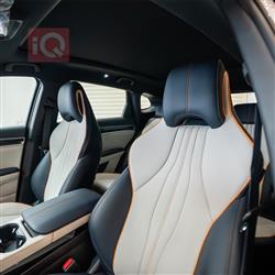 بي واي دي سونغ بلس